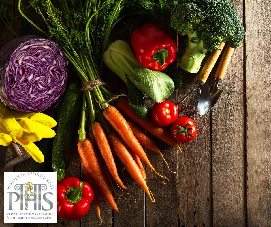 Assorted fresh vegetables arranged on a kitchen counter – showcasing greener kitchen practices in action..