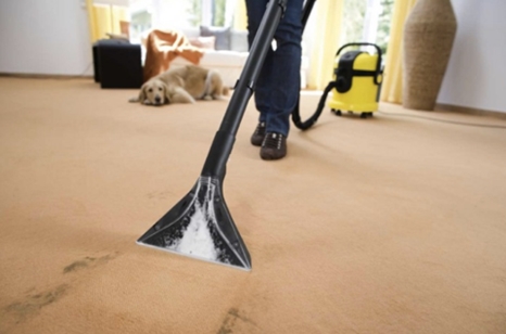 urgent carpet cleaning, steam carpet cleaning, carpet stain removal, dry foam carpet cleaning, stain protection, upholstery cleaning, insecticide treatment for carpets, carpet cleaning, rug cleaning, antique rug cleaning