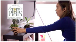 Full Time Housekeeper Job, Live Out Housekeeper Vacancy, Wimbledon, London, UK ( SW19 ), Salary 35,000 GBP gross per year, PHS Job 2063