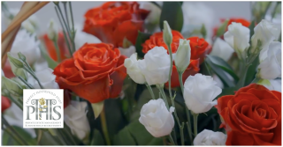 International Women’s Day 2025