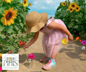 Last-Minute Summer Nanny Jobs: How to Stand Out and Get Hired Quickly